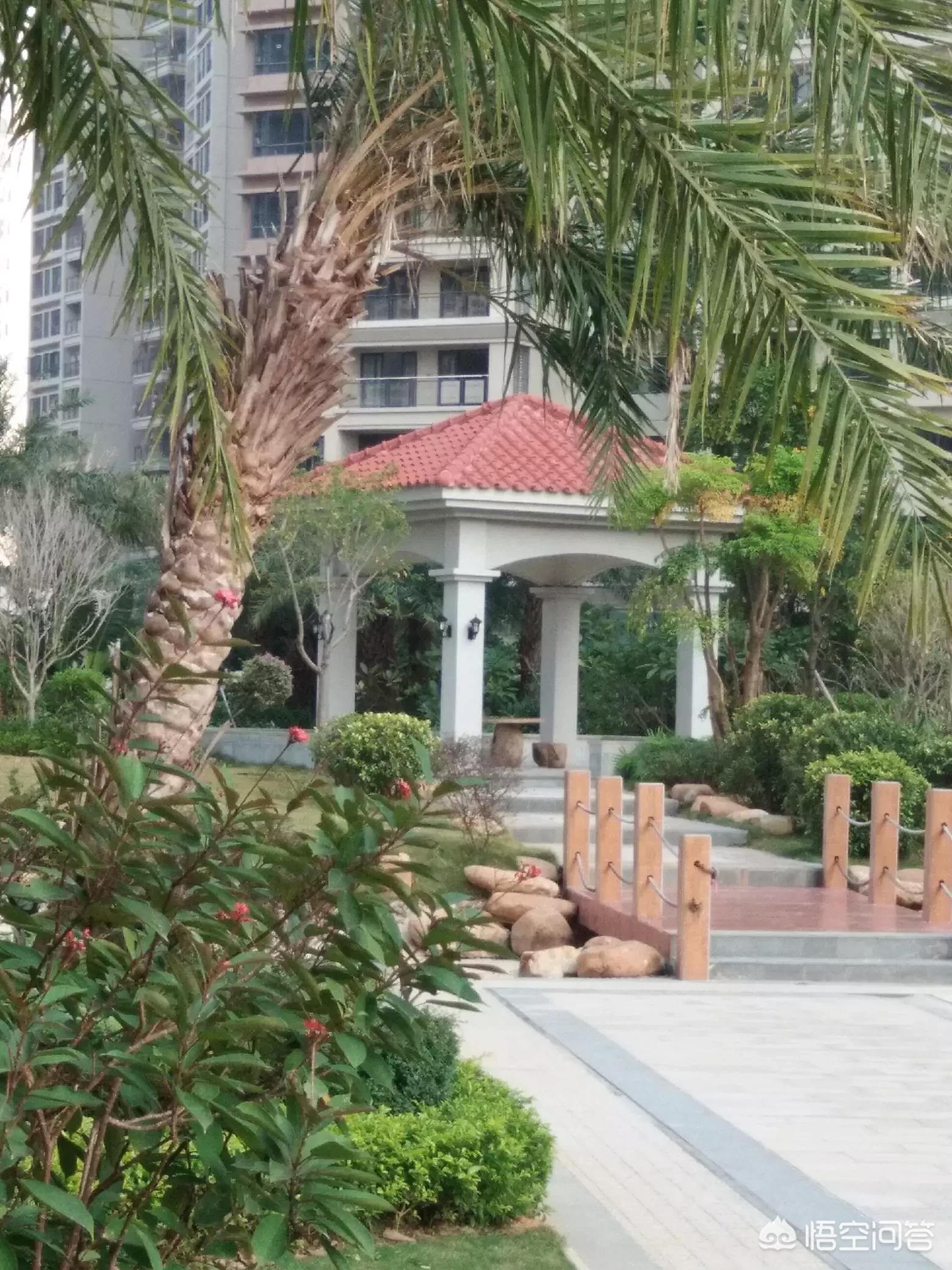 路边黄金千万别捡,俗话说捡黄金会干嘛？