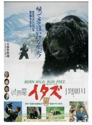 日本秋田县全是熊,日本八十年代有部电影叫《熊》，能秒杀《忠犬八公》，有看过的吗？