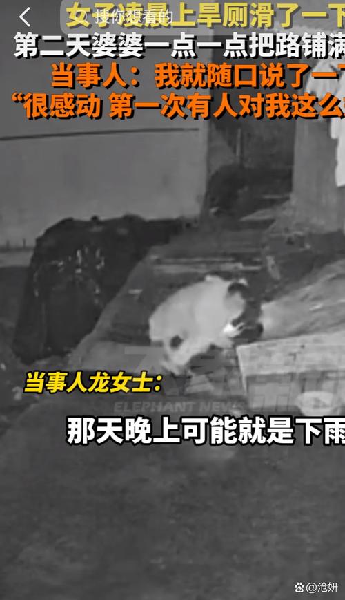 保姆电梯内摔死小狗,保姆电梯内摔死小狗了