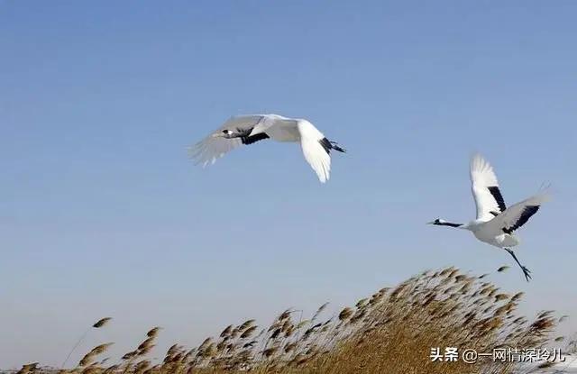 水泥罐车冲出高速路,水泥搅拌车可以走高速路吗？