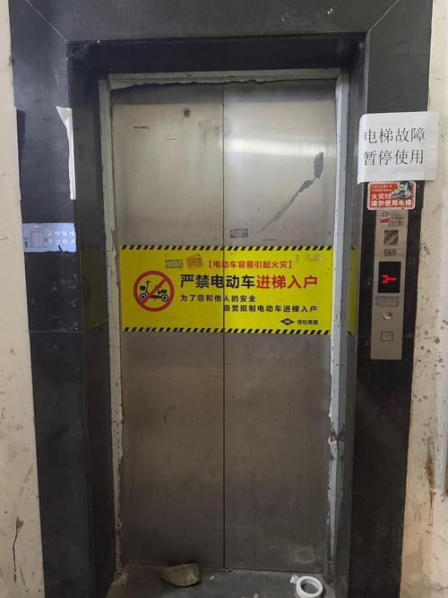 保姆电梯内摔死小狗,家里房子装了保姆电梯、观光电梯、主人电梯会是种怎样的体验?