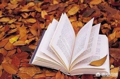 在花园挖70万欧黄金,蚌埠市黄金花园小区建造时间？