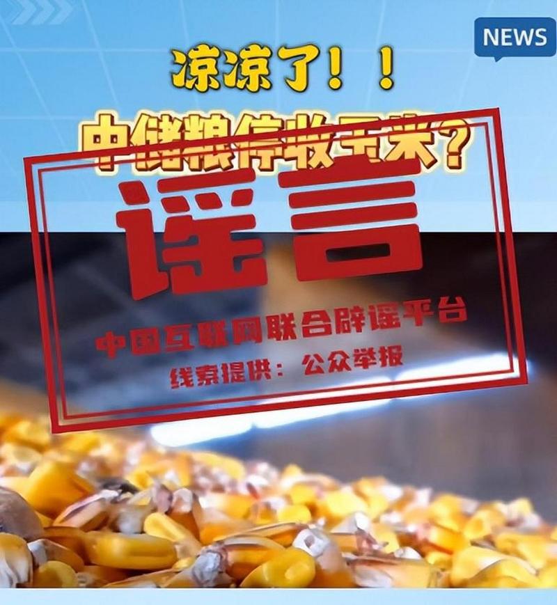 中储粮库7死事故,2021年中储粮库六月份什么时候开始收玉米?