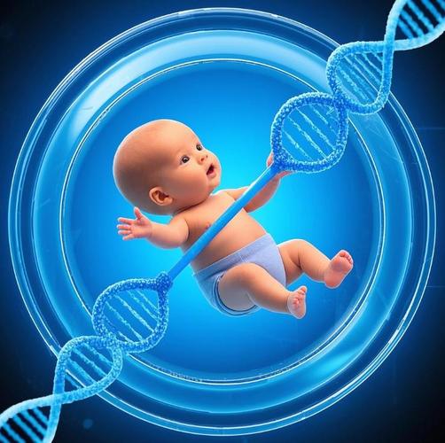 美基因编辑婴儿计划,美国基因编辑婴儿