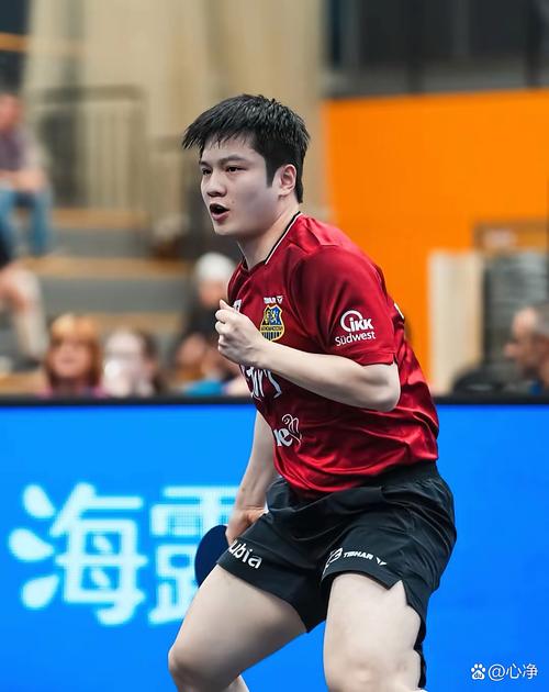 樊振东把对手打笑了,卡塔尔公开赛,稍显疲态的樊振东4-1轻取对手,你如何评价?