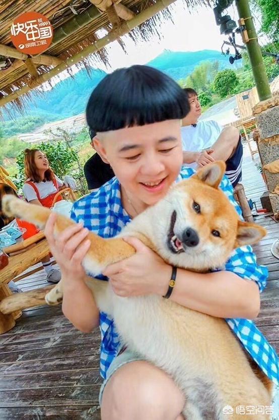 何炅金龟子同台合唱,何炅和金龟子合作的节目叫什么