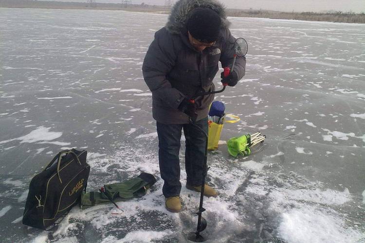 以糖为诱险带走女童,冬天钓鲫鱼饵料加点糖好吗?