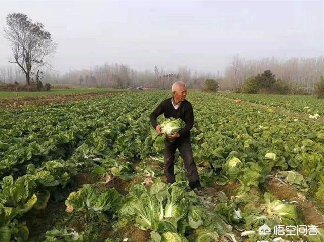 超2000万彩票无人领,重庆:价值2000元轮胎无人看管,男子“捡走”后当废品卖了20元, 你怎么看? 超2000万彩票无人领,重庆:价值2000元轮胎无人看管,男子“捡走”后当废品卖了20元, 你怎么看?