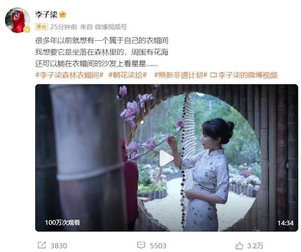 李子柒再次停更1年,李子柒再次停更1年了