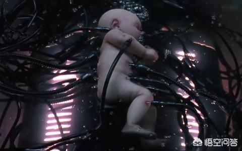 有公司开发人造子宫,若用人造子宫代替女人生育,对女人以及全人类来说是好是坏? 有公司开发人造子宫,若用人造子宫代替女人生育,对女人以及全人类来说是好是坏?