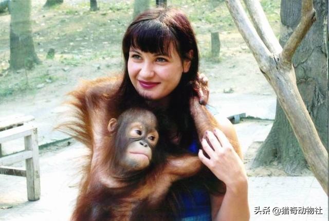 贵州猴子进化到上班,悟空初到天府，玉帝封他什么官?做什么工作?孙悟空回到花果山自封什么称号？