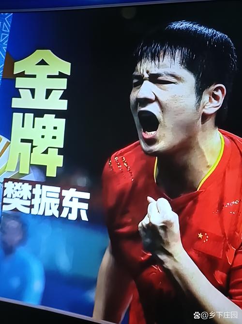 樊振东3比1获胜,王楚钦胜利后怎么评价樊振东?