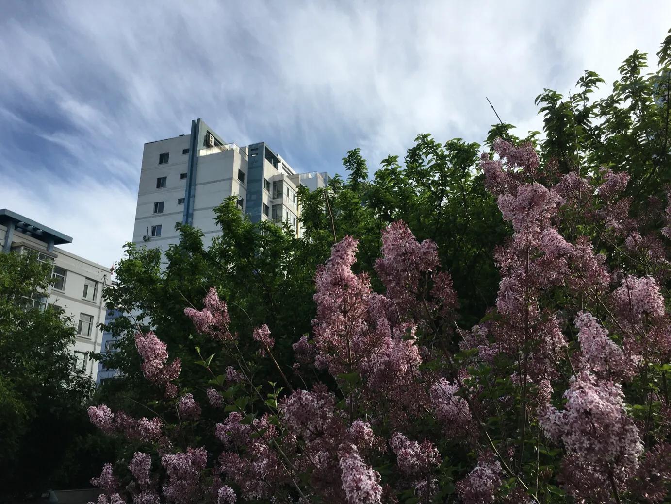 神20航天员返回着陆,荣耀20有办法回到原系统吗？