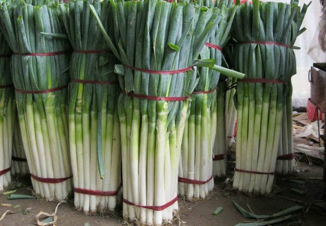 偷饭店门口8捆大葱,偷挖别人地里大葱好不好？