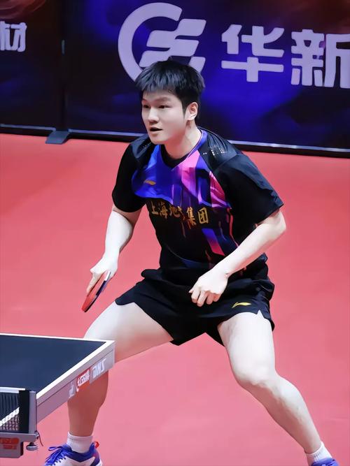 樊振东3比1获胜,张本智和结束亚洲杯之旅:6战3负+手指受伤,铜牌也捞不到,如何看待他的悲催遭遇?