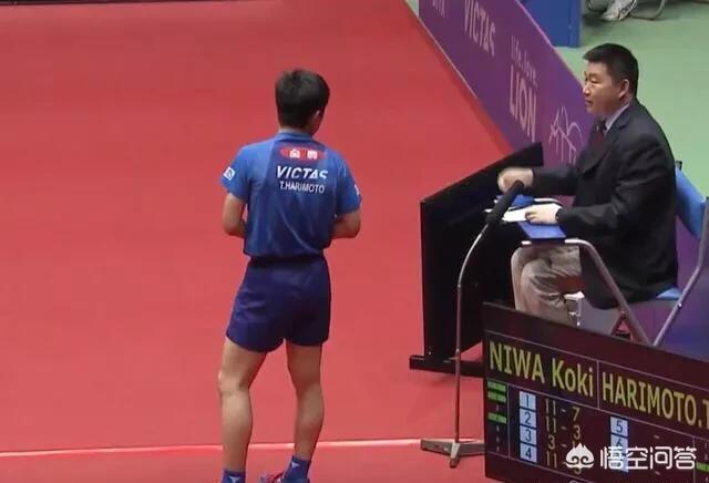 樊振东3比1获胜,张本智和结束亚洲杯之旅:6战3负+手指受伤,铜牌也捞不到,如何看待他的悲催遭遇? 樊振东3比1获胜,张本智和结束亚洲杯之旅:6战3负+手指受伤,铜牌也捞不到,如何看待他的悲催遭遇?