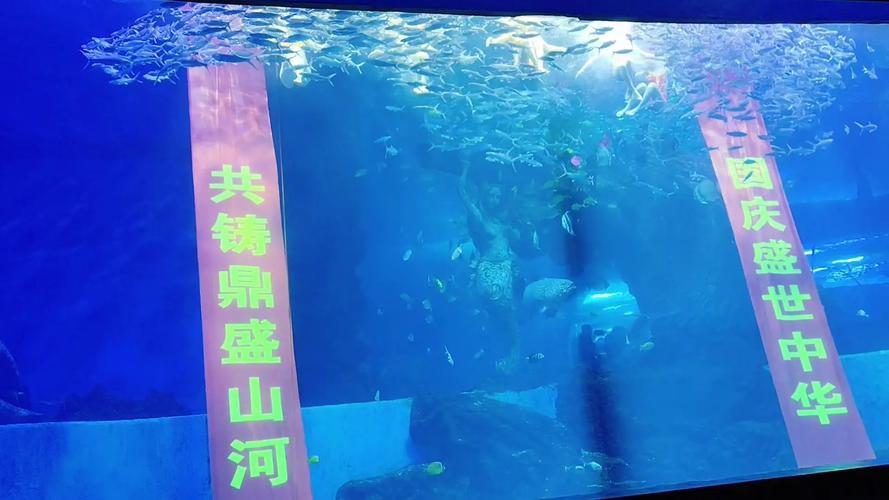 水上芭蕾如何练成的,水上芭蕾又称做什么?