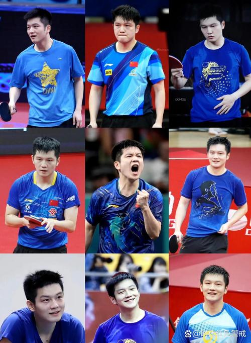 樊振东卫冕冠军,樊振东卫冕冠军是哪一年