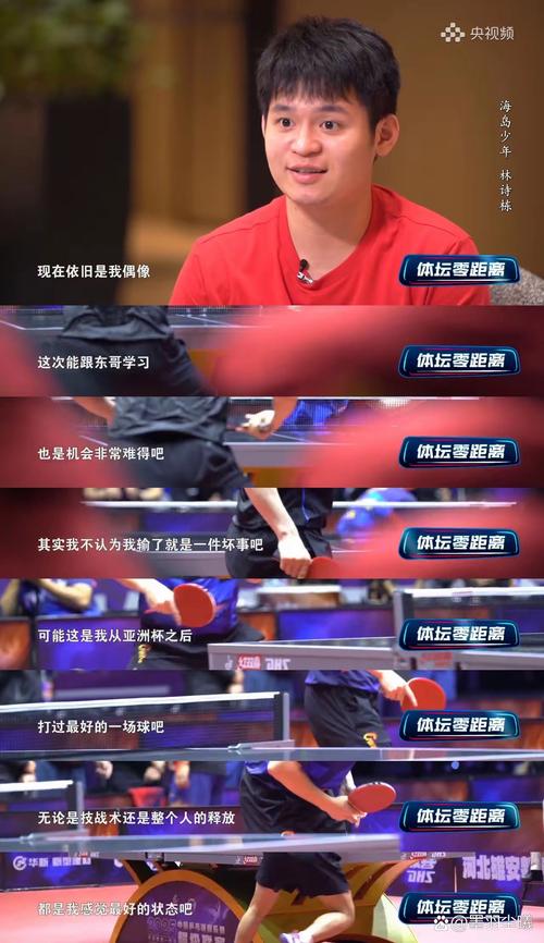 樊振东VS林诗栋,樊振东vs林诗栋交手历史记录