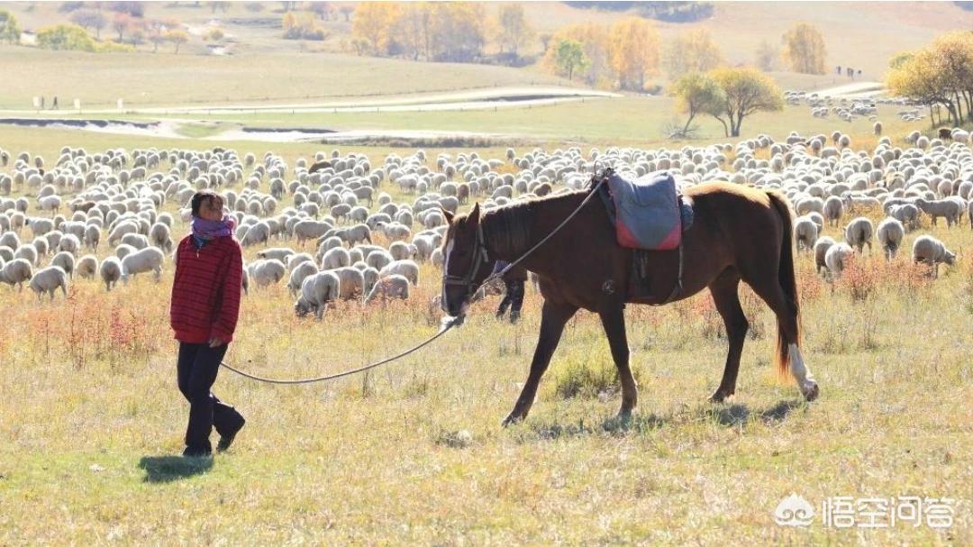 内蒙古举办躺平大赛,在你们印象中,内蒙古人都是睡蒙古包吗? 内蒙古举办躺平大赛,在你们印象中,内蒙古人都是睡蒙古包吗?