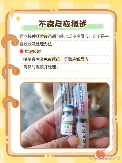 猫打疫苗6天后死亡,猫咪注射疫苗后反应及面临的问题?