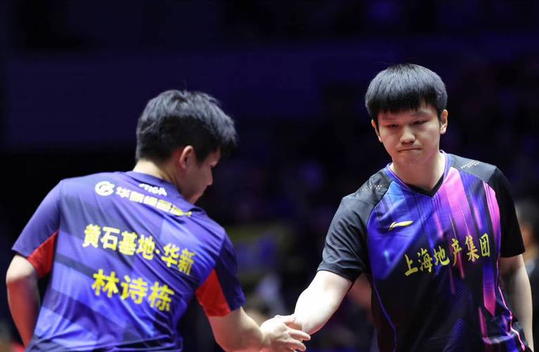 樊振东VS林诗栋,林诗栋赢樊振东后说的什么?