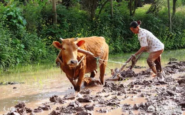 前夫阻拦见娃获赔3万,老公有没有权利阻止老婆孩子回娘家? 前夫阻拦见娃获赔3万,老公有没有权利阻止老婆孩子回娘家?