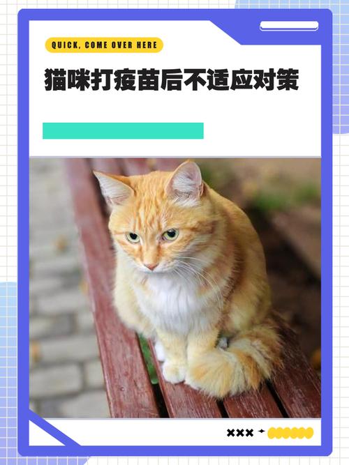 猫打疫苗6天后死亡,猫咪注射了过期疫苗?