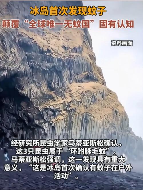冰岛又发现一只蚊子,冰岛又发现一只蚊子是真的吗