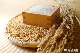 日本米价1斤接近20元,日本米价1斤接近20元吗 日本米价1斤接近20元,日本米价1斤接近20元吗