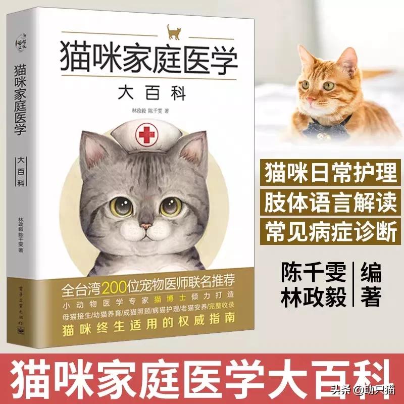 有商户现宰活猫出售,小猫感冒严重，去宠物医院注意哪些不会被宰？