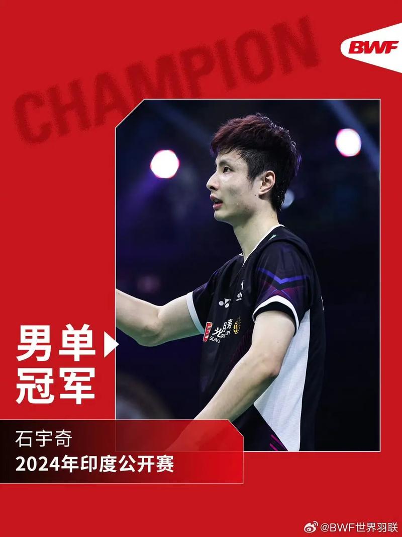 石宇奇因伤退赛,石宇奇最新消息