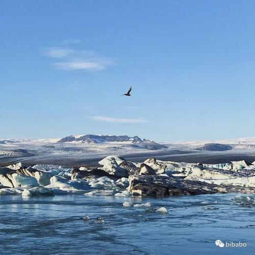 冰岛可能真要变冰岛,海岛奇兵怎么冰岛?