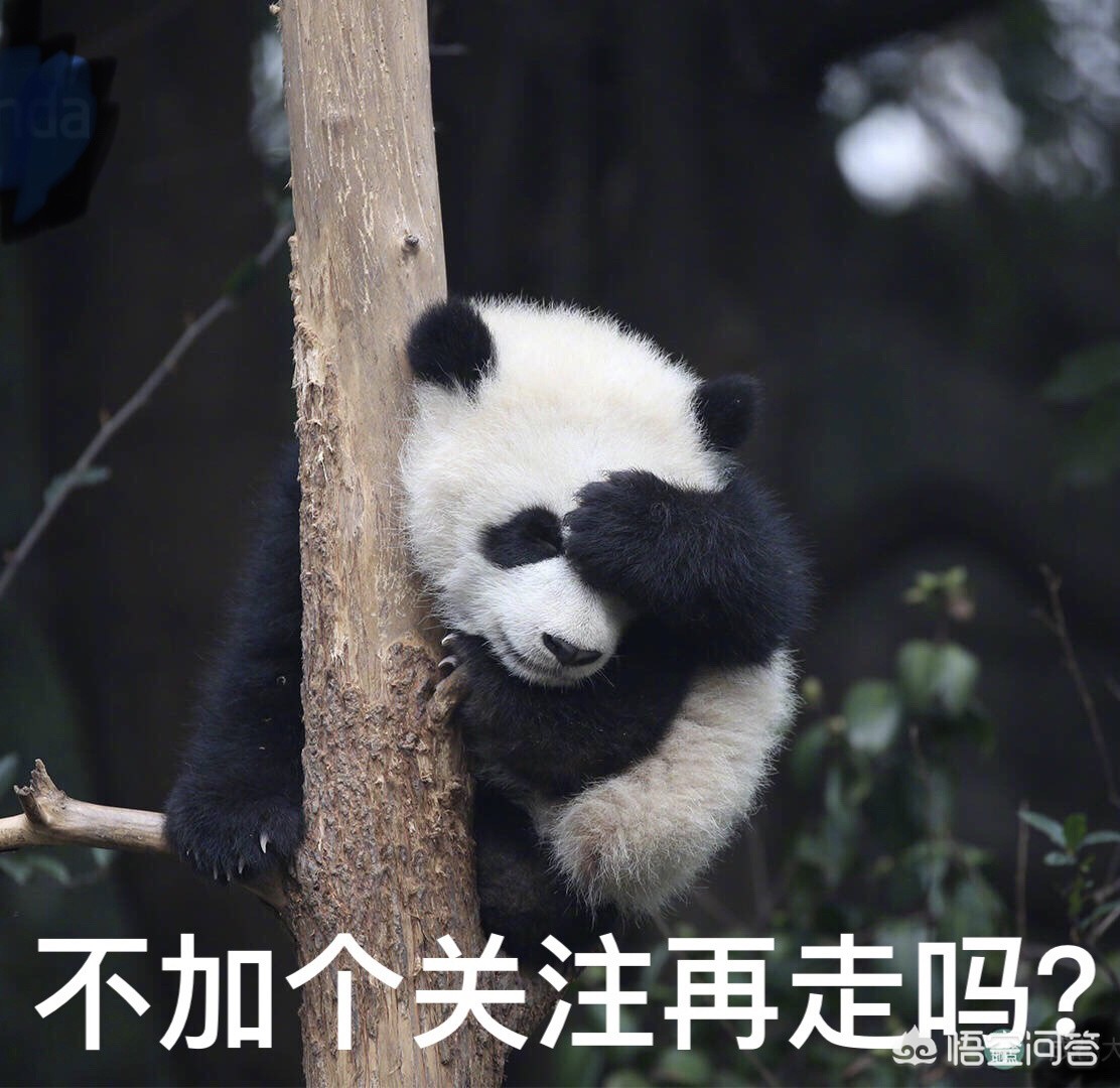 10岁娃诊所输液身亡,孩子在门诊输液死亡，医院有没有责任，你怎么看？