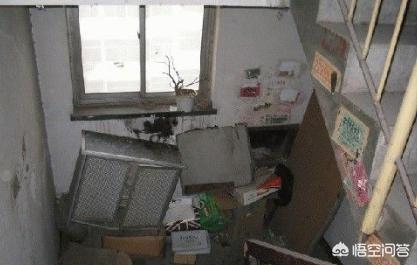 男子偷邻居旧鞋被抓,我的邻居每年春夏就把他的臭鞋子放楼梯口,臭的我不敢出门,物业也多次提醒无效,咋办? 男子偷邻居旧鞋被抓,我的邻居每年春夏就把他的臭鞋子放楼梯口,臭的我不敢出门,物业也多次提醒无效,咋办?