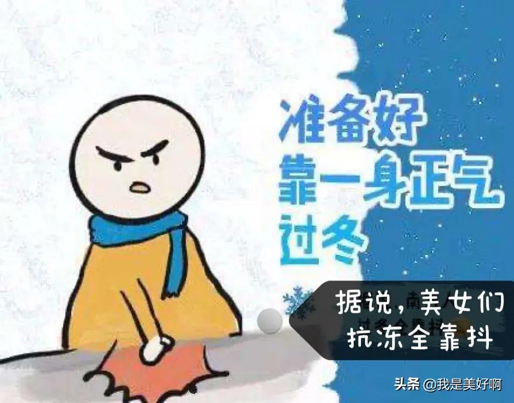 冷美人获38000奖励,什么冷美人？