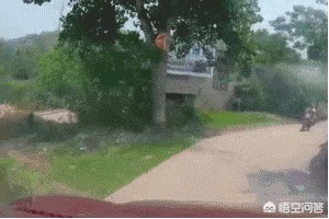 小伙遭骗婚后被气笑,男人快阳痿了骗女友是处男，婚后女人发现怎么办？