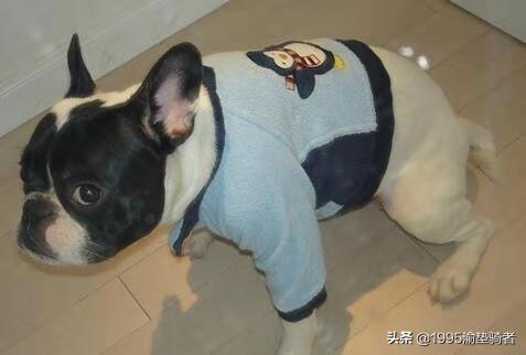 上厕所是个危险动作,