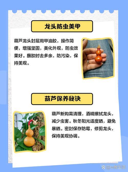 文玩葫芦突然摇起来,文玩葫芦采摘得早了怎么处理?