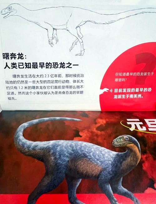 四川现迷你恐龙足迹,5岁小男孩发现恐龙足迹是真的吗?