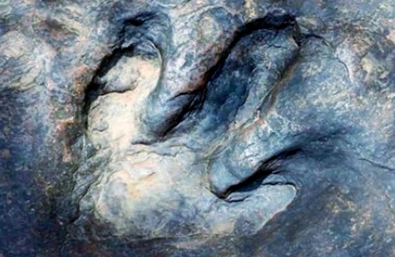 四川现迷你恐龙足迹,恐龙的脚印像什么?