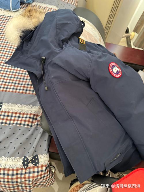 1件羽绒服需100只鸭,一件羽绒服要多少只鹅的绒?