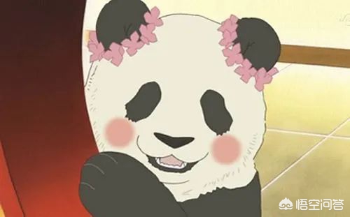 日本马上没大熊猫了,日本马上没大熊猫了吗 日本马上没大熊猫了,日本马上没大熊猫了吗