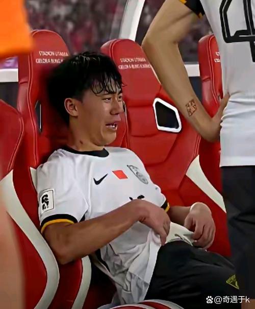 国足世界排名第93位,鲁能后防迎93飞翼回归,表现出色获赞该进国足,里皮为何无视?