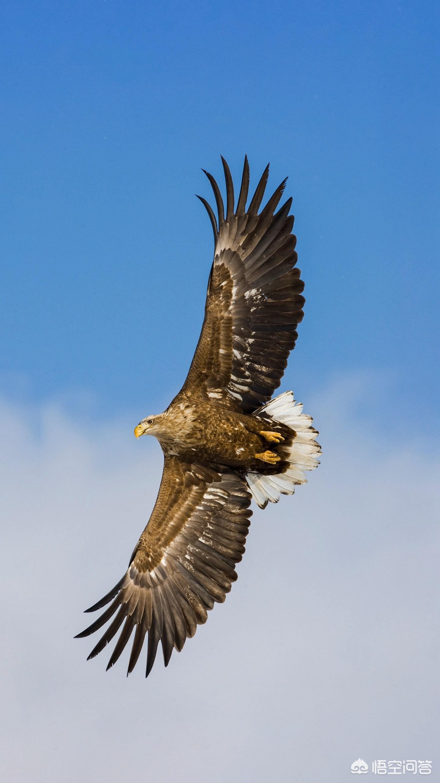 马龙说着说着快哭了,马龙赛后采访直言内心平静，因之前被刘诗雯夺冠感动到哭，现在哭不出来，你怎么看？