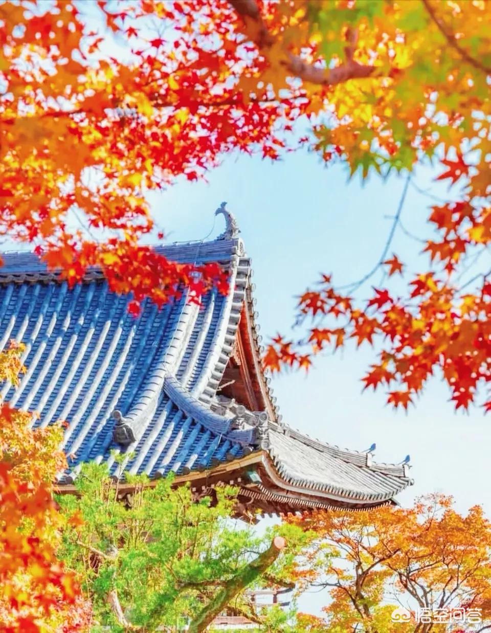 日本再次面临抉择,日本袭击珍珠港为什么选择在12月7号? 日本再次面临抉择,日本袭击珍珠港为什么选择在12月7号?