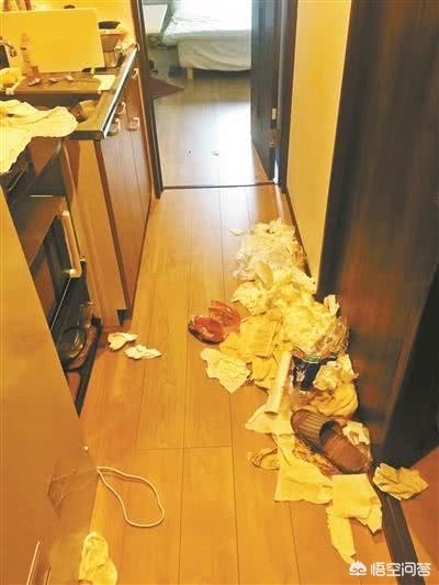 百米长20米高垃圾山,陈情令是垃圾山么？