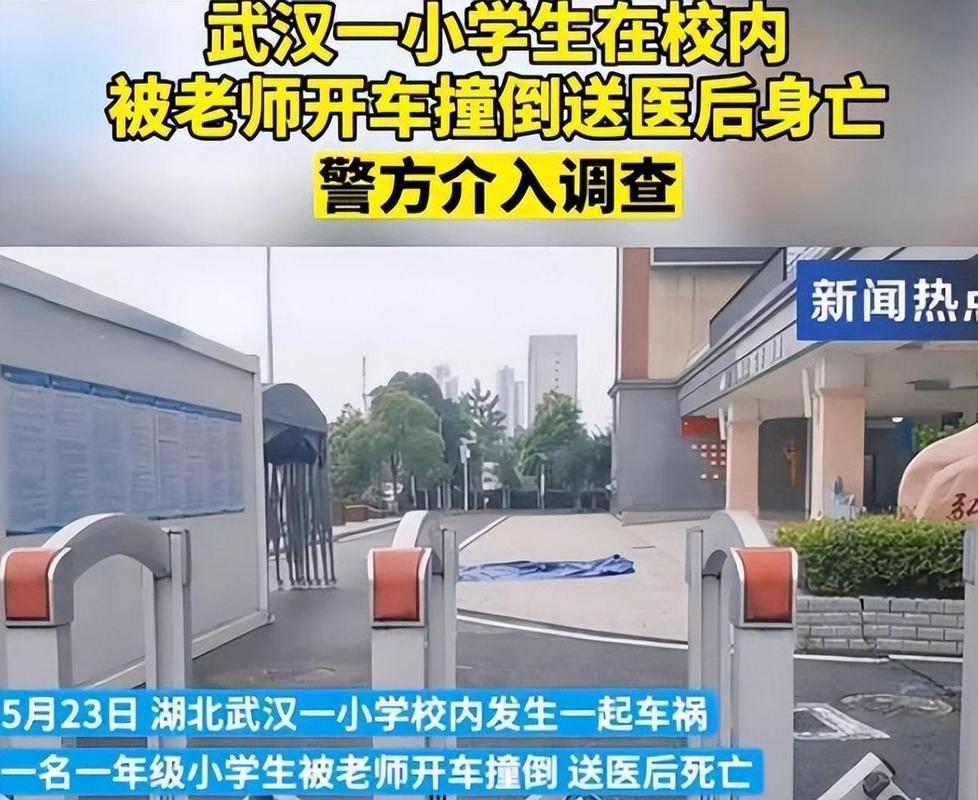 老师校内驾车坠湖,教师校园开车撞学生怎么处理?