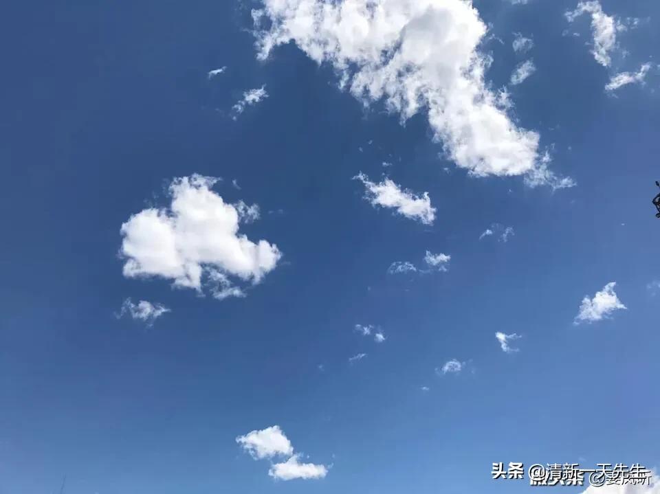 小区墙脱落砸中多车,小区墙体脱落砸车谁负责