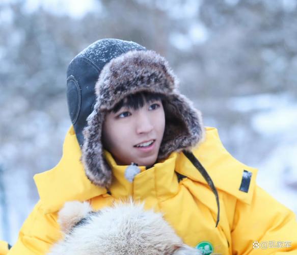 36岁王俊凯被调查,王俊凯被毙